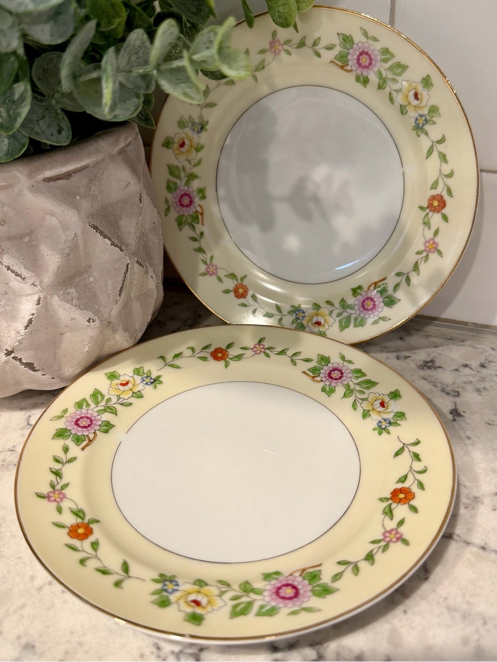 Two Vintage China Saucers with Floral Pattern and Gold Rim